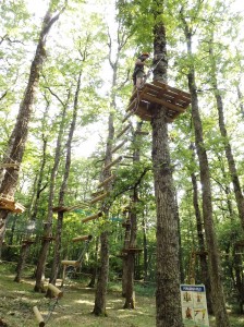 Cerris Park - Chiauci