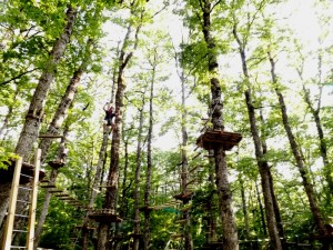 Cerris Park - Chiauci2