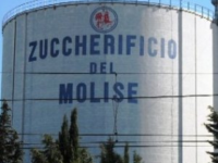 Zuccherificio, stagionali protestano in Regione