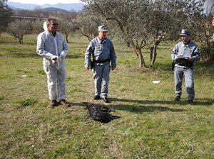 Strage di cani a Pesche di Isernia