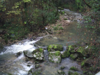 Aumenta il costo del tesserino, fondi azzerati per la pesca. La denuncia dei 5 Stelle