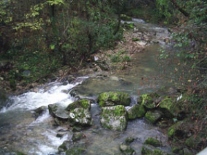 Aumenta il costo del tesserino, fondi azzerati per la pesca. La denuncia dei 5 Stelle