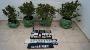 Agnone: aveva allestito una serra per coltivare cannabis, 27enne nei guai