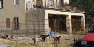 Poggio Sannita, il canile sarà dismesso