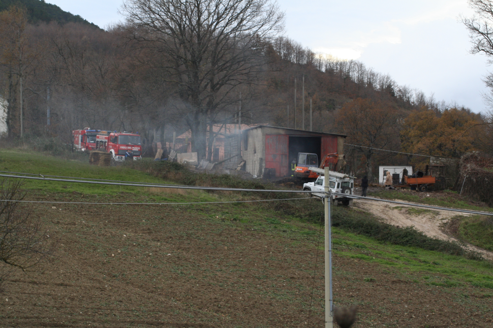 Cercemaggiore, rogo distrugge fienile