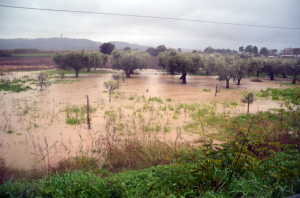 Maltempo, peggiora la situazione in basso Molise