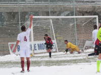 Lupi, basta Lacheheb