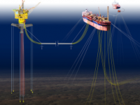 Wwf: ecco i numeri di “Ombrina Mare”