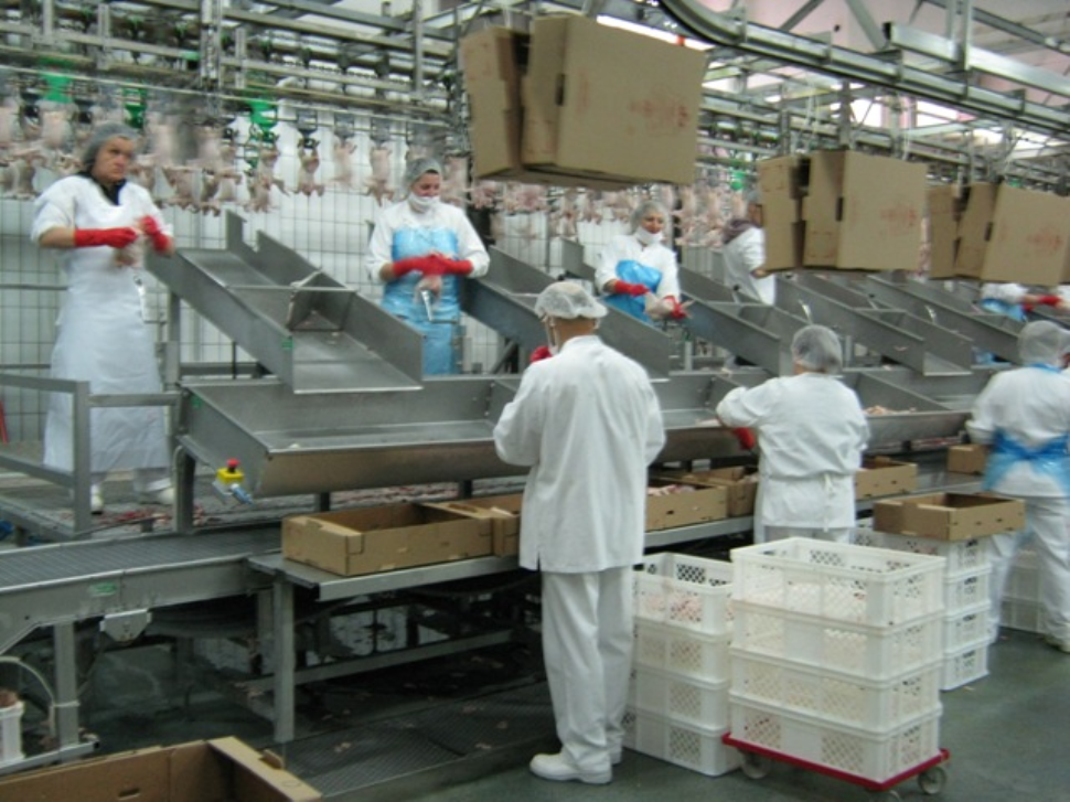 Solagrital, sorridono solo le maestranze