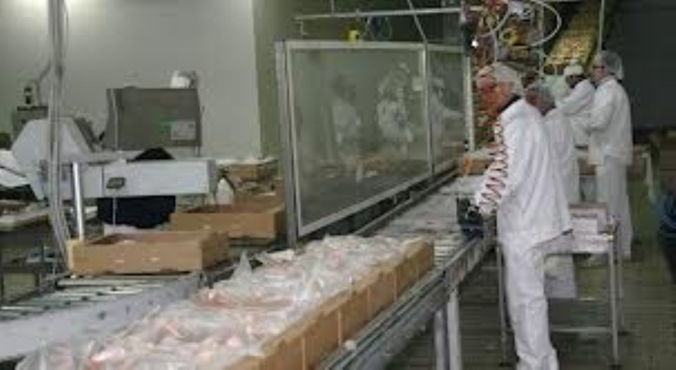 Solagrital, stop alla produzione