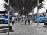 Sull’autobus con un cagnolino: “Signorina, deve scendere!”