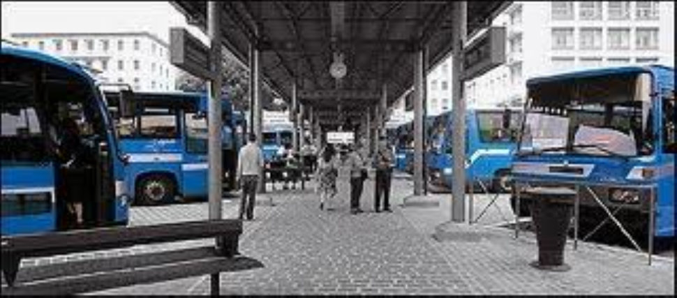 Sull’autobus con un cagnolino: “Signorina, deve scendere!”