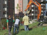 Campobasso, Volontari di Fare Verde all’opera a Parco dei Pini