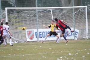 Lupi, una domenica d’altri tempi