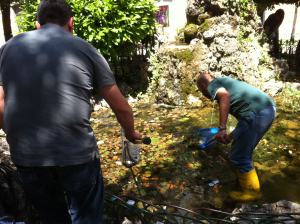 Il Movimento Cinque Stelle ‘ripulisce’ il capoluogo