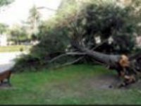 Molise spazzato dal vento