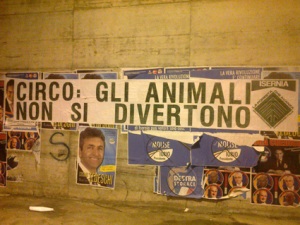 Il circo in città, scoppia la protesta