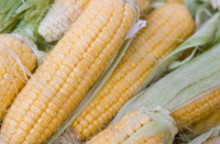 Alimenti biologici falsi, sequestri in Molise