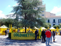 Nasce a Campobasso la prima bottega italiana stagionale di Campagna amica