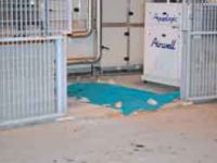 Giù dal terzo piano del San Timoteo, muore una ragazza