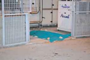 Giù dal terzo piano del San Timoteo, muore una ragazza