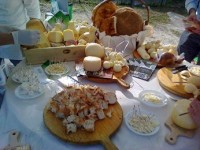 ‘Cibo vera energia pulita’, domani convegno dell’Oml