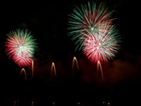 Botti di Capodanno, appello dell’Aidaa ai sindaci