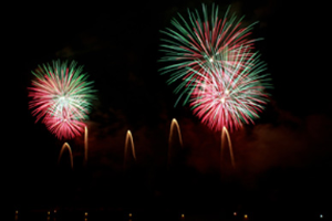 Botti di Capodanno, appello dell’Aidaa ai sindaci