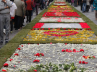 I mille colori dell’Infiorata