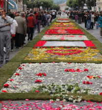 I mille colori dell’Infiorata