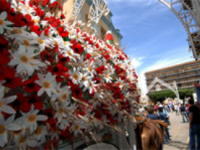 Larino in festa, pronti i carri per San Pardo