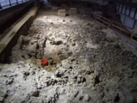 Paleolitico, chiesta l’ispezione ministeriale