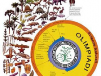 Olimpiadi delle Scienze Naturali, la fase regionale al ‘Pertini’