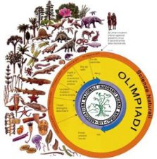 Olimpiadi delle Scienze Naturali, la fase regionale al ‘Pertini’