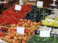 Ambulanti in centro, da martedì tolleranza zero