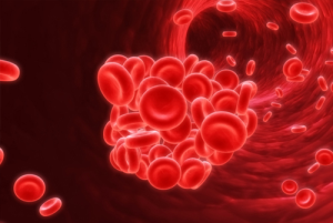 Emergenza maltempo, l’Asrem smentisce l’Avis di Campobasso