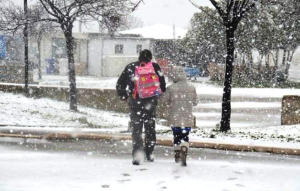 La neve in riva al mare