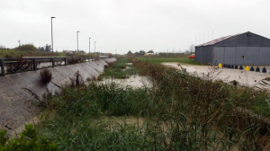 Strade chiuse per il maltempo, a Ripalta esonda il Fortore
