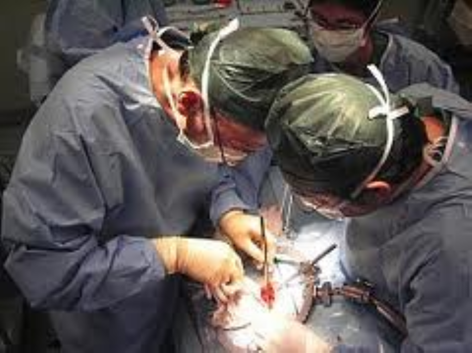 Isernina ‘rinasce’ grazie a un cuore nuovo