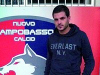 Lupi, Di Vicino a mezzo servizio