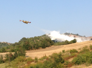 Vasto incendio a Morrone lambisce il sito archeologico di Santa Maria di Casalpiano