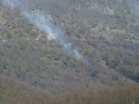 Filignano, a fuoco quattro ettari di bosco