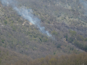 Filignano, a fuoco quattro ettari di bosco