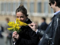 Una mimosa non basta