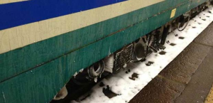 La Forestale salva il personale delle Ferrovie