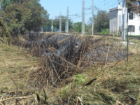 Campomarino, ancora fiamme nella notte