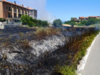 Vasto incendio sfiora le abitazioni, paura a Campomarino