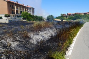 Vasto incendio sfiora le abitazioni, paura a Campomarino