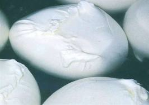 Caseifici molisani nell’inchiesta ‘Bufalo’