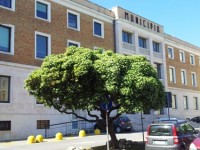 Clima tiepido per la campagna elettorale a Termoli